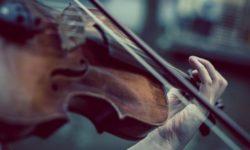Crafting the Perfect Ambiance: Insights into Choosing Your Ideal Music Booking Partner